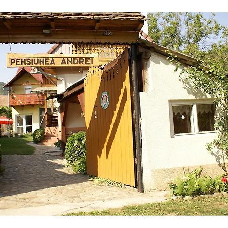 Pensiunea Andrei Сибил Екстериор снимка