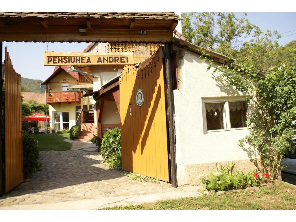 Pensiunea Andrei Сибил Екстериор снимка